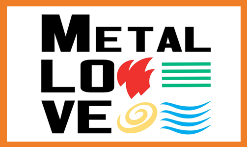 Projekt Metallove